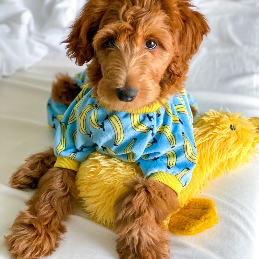 Dog Banana Pajamas